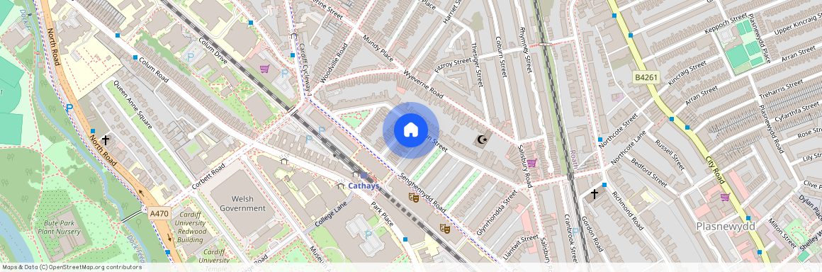 Llandough Street, CF24 4AW, Cathays