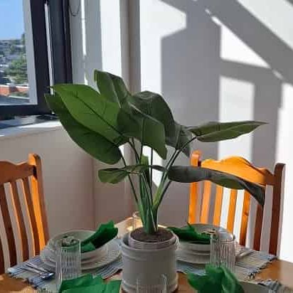 Stylish Apartment in Mount Maunganui - Photo 1