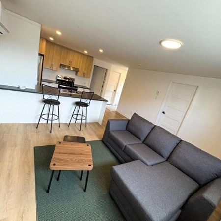 3 1/2 - Longueuil (Saint-Hubert) - 1 550 $/mois - Photo 4
