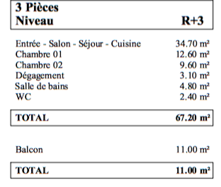 3 pièces - 67,2 m² - 3ème étage - Colocation autorisée - Photo 1