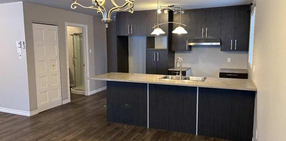 4 1/2 À LOUER (ST-DENIS-DE-BROMPTON) - Photo 2