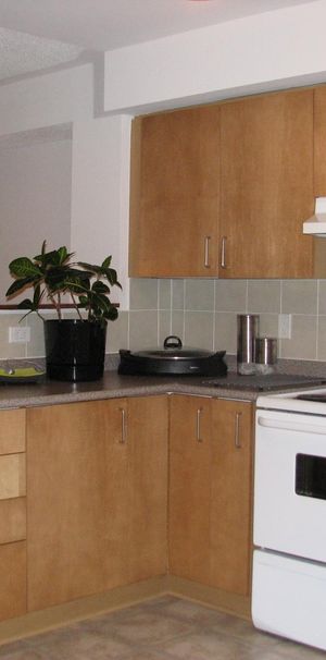 Beautiful Townhouse – Walking distance to CHEO & General Hos - Photo 1