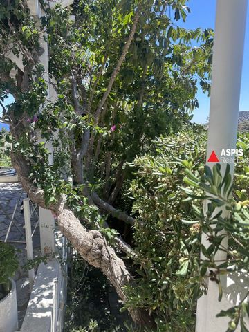 Μεζονέτα, προς ενοικίαση Άγιος Νικόλαος, Ανάβυσσος Κωδικός 1802434 - Photo 3