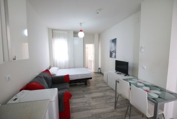 Studio - Granada (San Ildefonso)