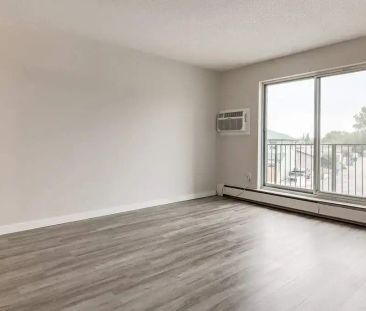 1 Bedroom - Photo 3
