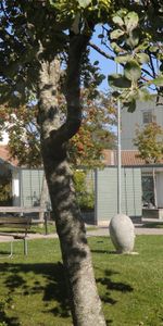 Badhusberget 4 B - Photo 4