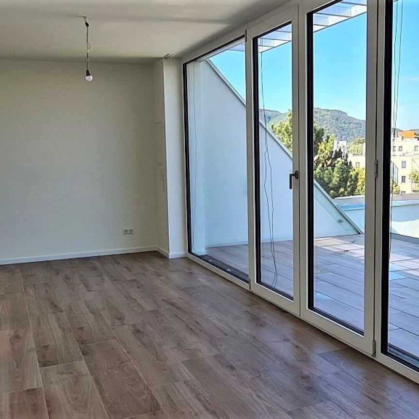 TERRASSENHIT, FERNBLICK, klimatisiertes 37 m2 Dachgeschoß mit 23 m2 Terrasse, 1 Zimmer, Komplettküche, Duschbad, Anton-Bosch-Gasse - Photo 1
