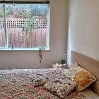 Elwood - Photo 4