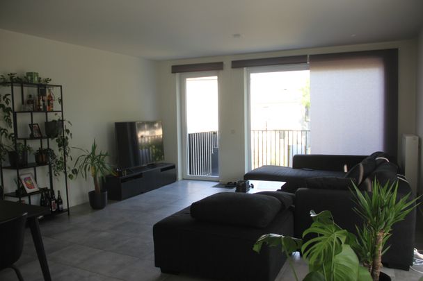 Appartement te huur Lokeren - Foto 1