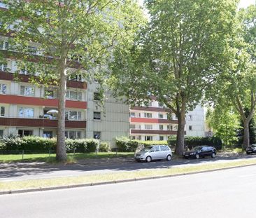 Frisch renovierte Mietwohnung (teilweise möbliert) in Duisburg-Neumühl - Photo 1