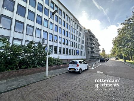 Stadhoudersplantsoen, Rotterdam - Foto 2