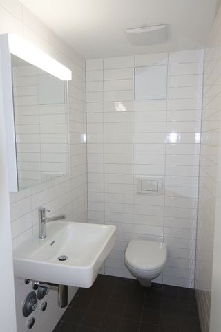 Zuhause im schönen Baselland! - Foto 2