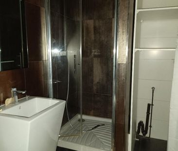 Appartement 1 pièce à Lille - Photo 4