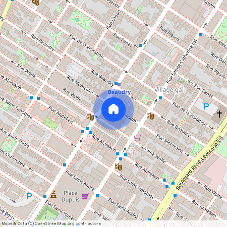1466 Rue Montcalm, Montréal (Ville-Marie), H2L3G8