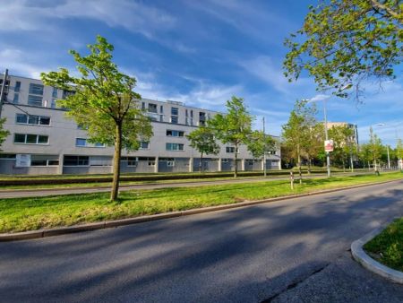 PERFEKT für ZWEI + SONNIG + nahe MÜHLWASSER-Lobau! - Foto 4