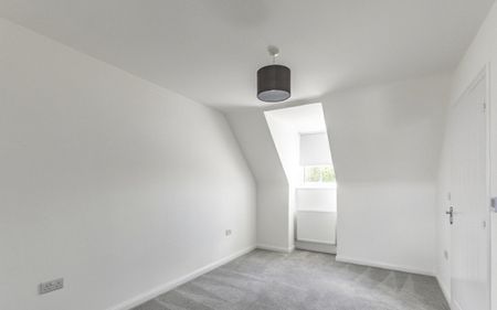 Pumpkin close - Photo 3