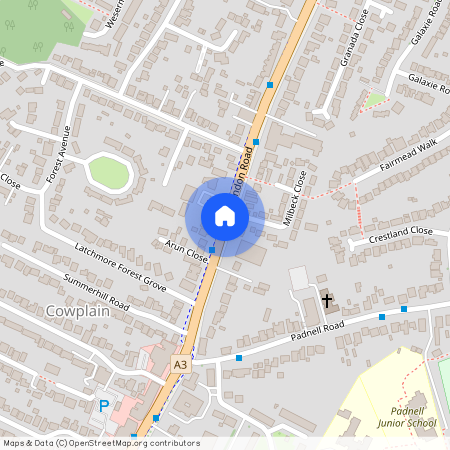 London Road, Waterlooville, Cowplain