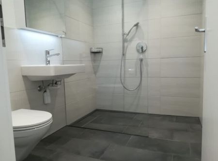 41/2-ROOM APARTMENT IN SCHACHEN (LU), FURNISHED, TEMPORARY - Photo 4