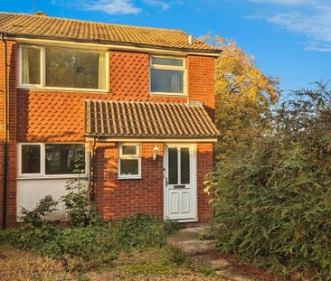 3 bedroom terraced house to rent - Photo 3