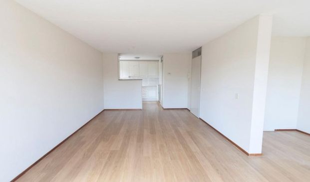 Pharus 0ong, 1503 EC Zaandam, Nederland - Foto 1