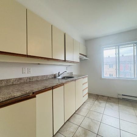 Appartement 4 ½ à louer Lévis juillet 2026 - Photo 4