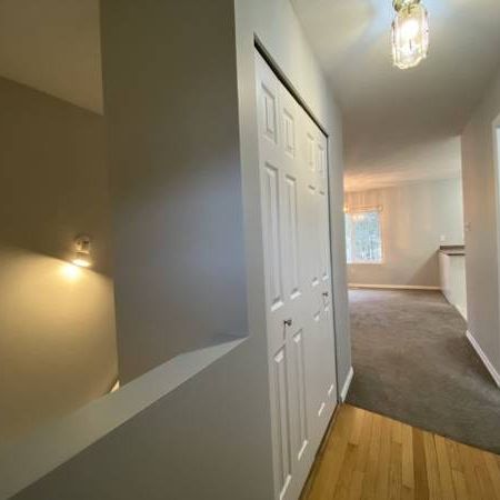 1750 Idaho Place - Photo 3