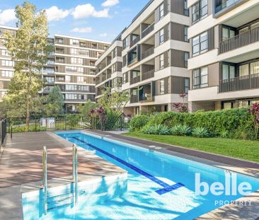 Standout Contemporary Apartment in Lifestyle Location for rent - Photo 1
