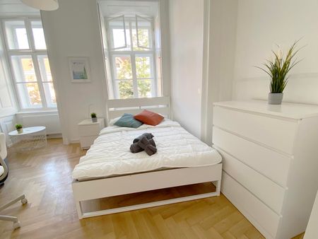 Große Neugasse Top 8 Zimmer 2 - Photo 3