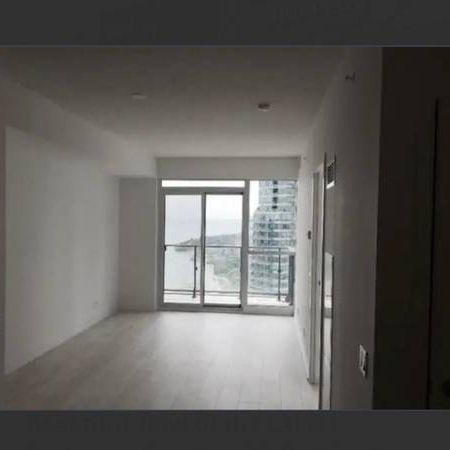 IDEAL & COMFORTAB 1BR +1BR condo for busy professional or young couple - Photo 4