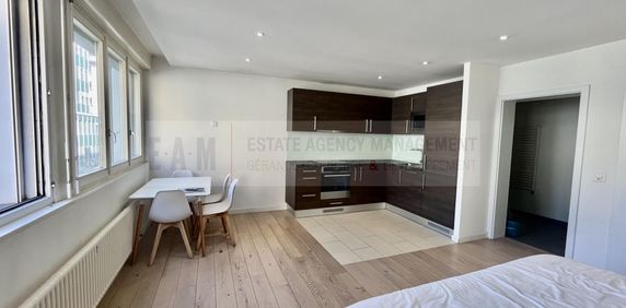 Eaux-Vives: a few steps from the Jet d’eau - Foto 2