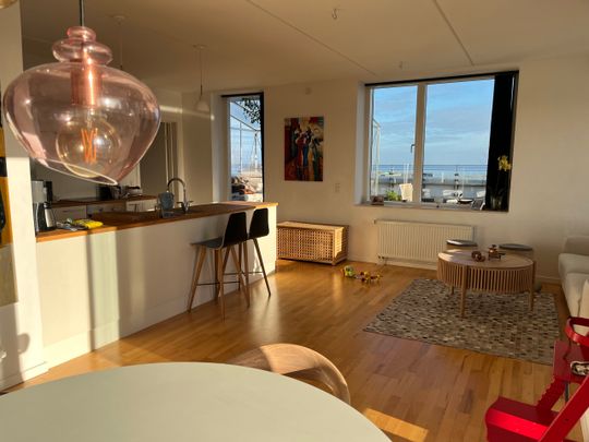 Penthouse by Amager Strand with a large private terrace — available for 12 months, fully furnished - Photo 1