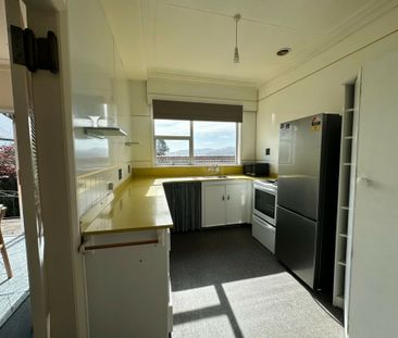 Magnetic on Maitland - a wee gem - Photo 1