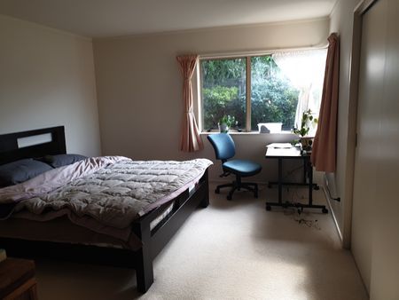Paraparaumu - 3 bedrooms - Photo 4