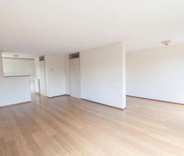 Pharus 1503 EC Zaandam - Foto 1