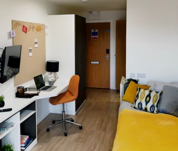 Studio - Bronze - Photo 1