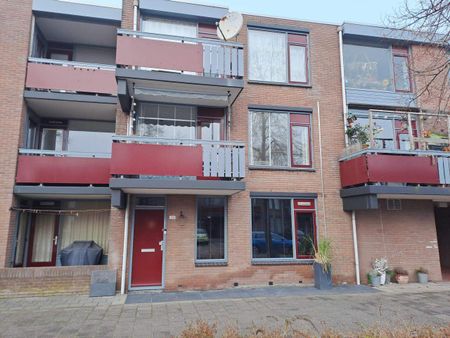 Appartement de 2 pièces au rez-de-chaussée, Drontermeer 60 C, Purmerend - À louer - Photo 2