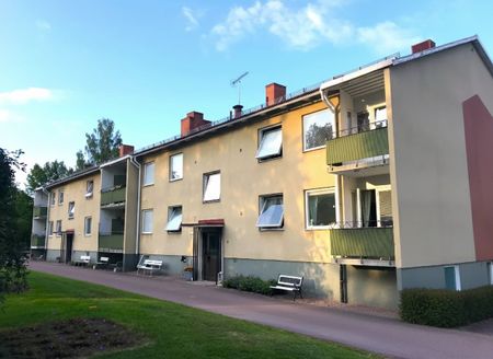 Avesta Hede: Tvåa i markplan - Foto 2