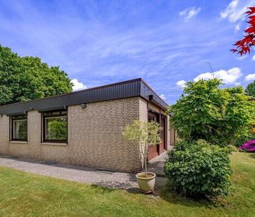 Großzügig. Modern. Grün. Ihr neues Zuhause im Reemtsma Park - Photo 6