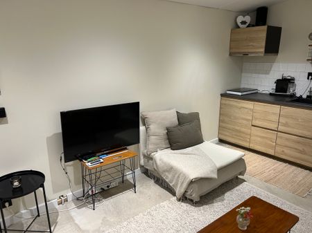 Floragatan, Västerås - Photo 4