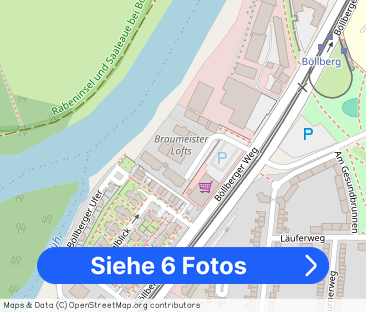 Traumwohnung mit Saaleblick - Foto 1