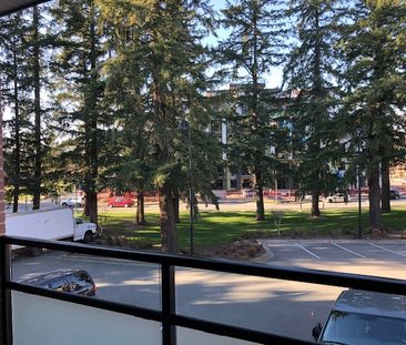 THURSTON APTS - 209 - T209 - Photo 4