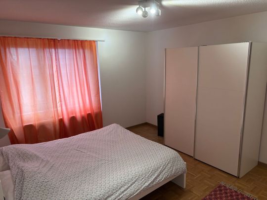 Appartement 2.5-Zimmer entièrement meublé récemment rénové à Dübendorf Zone 121 - Photo 1