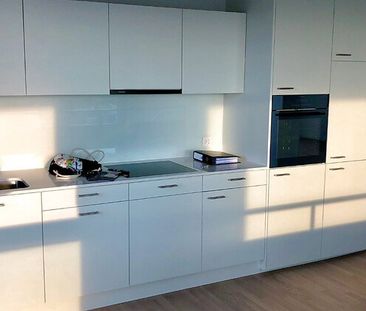 2.5 Zimmer, 80 m², 15. Stock - Photo 5