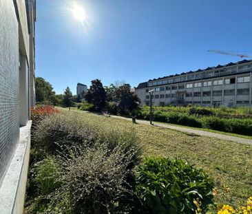 Location Appartement 1 pièce 33m² TOURS 37200 - Photo 3