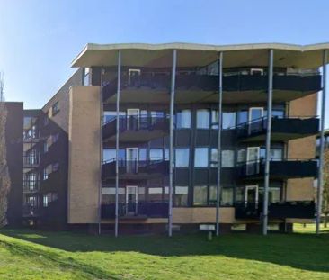 Appartement pour seniors Terschellingstraat, Heerenveen - À louer - Photo 1