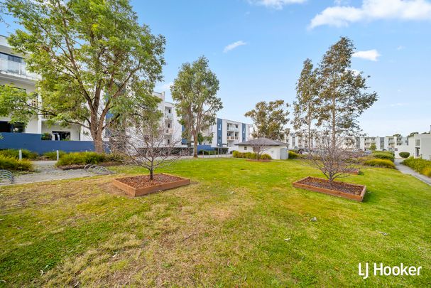 14B/21 Beissel Street, Belconnen ACT - Photo 1