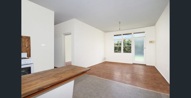 3 Bedroom Unit - Photo 1