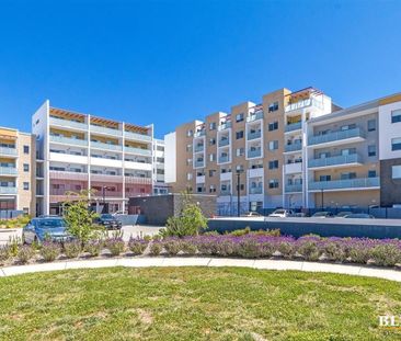 86/170 Flemington Road, Harrison ACT 2914 - Apartment For Rent | Do... - Photo 1