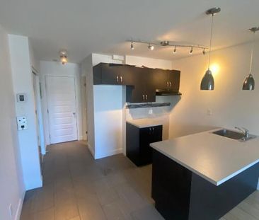 1 CH - 1 SDB - Montréal - $1,449 /mo - Photo 3