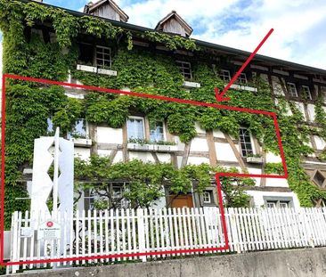 FULLY FURNISHED WITH SUNNY TERRACE AND GARDEN - Foto 4